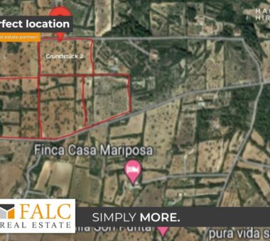 [Cover] Falc-Overlay-Image-%5Btime%5D.jpeg