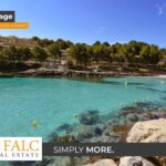 [Cover] Falc-Overlay-Image-%5Btime%5D.jpeg