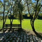 Ccf395020D5D6Ceb2352B57C2141863D