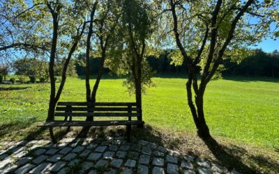 Ccf395020D5D6Ceb2352B57C2141863D