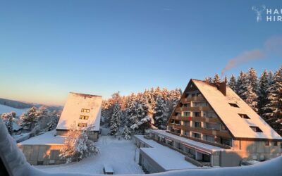 Objekte 24 Zuhause Im Schwarzwald