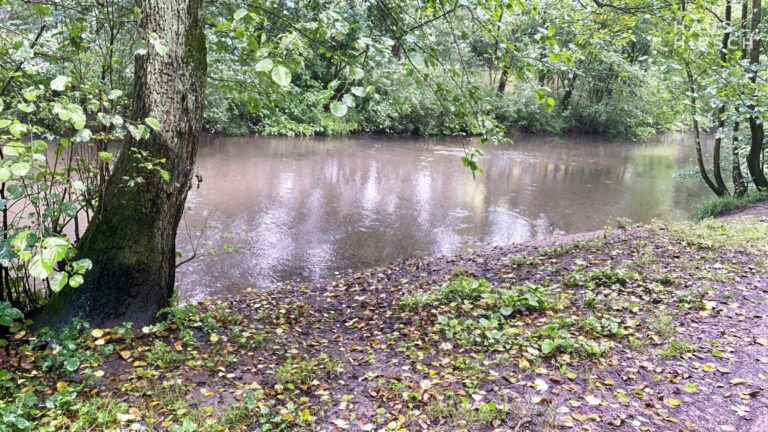 Der Alsterlauf-um's Eck