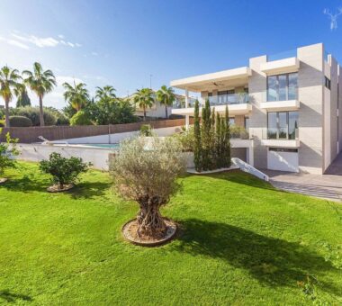 [Cover] 4B911286-1Ef6-47Da-9Ae4-C9Aea9Febb14.Jpg