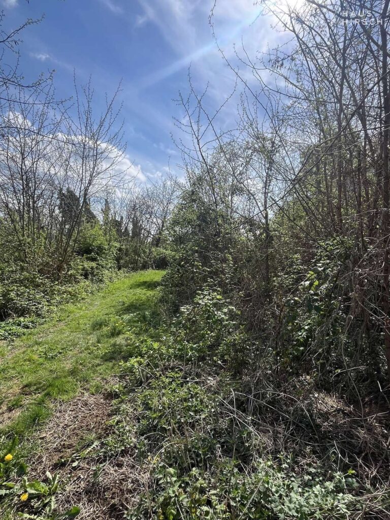 Hier könnte Ihr neues Zuhause entstehen