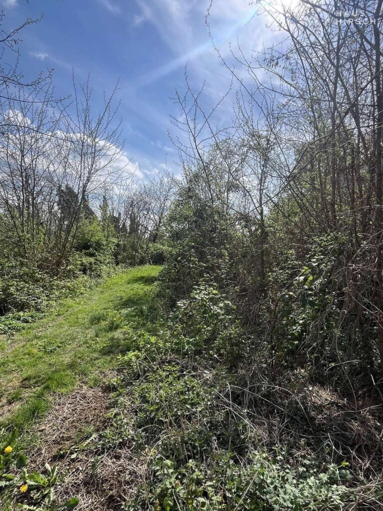 Hier könnte Ihr neues Zuhause entstehen