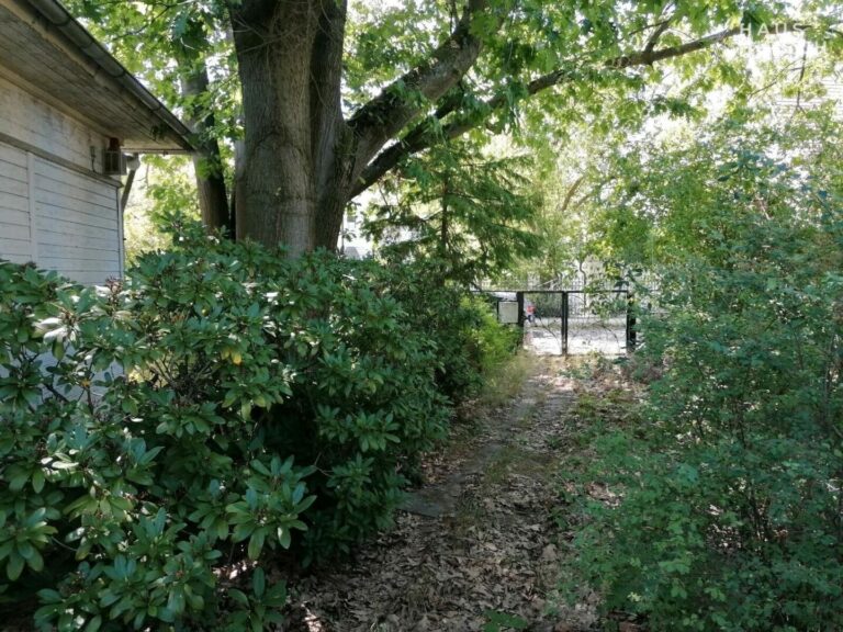 463fd41a-ade5-4a26-b48b-e3ed49cb0087