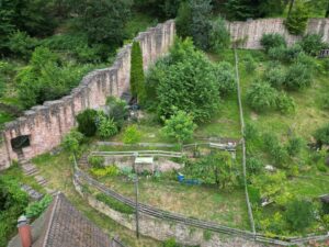 Schrebergarten am Hang