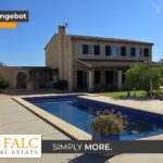 [Cover] Falc-Overlay-Image-%5Btime%5D.jpeg