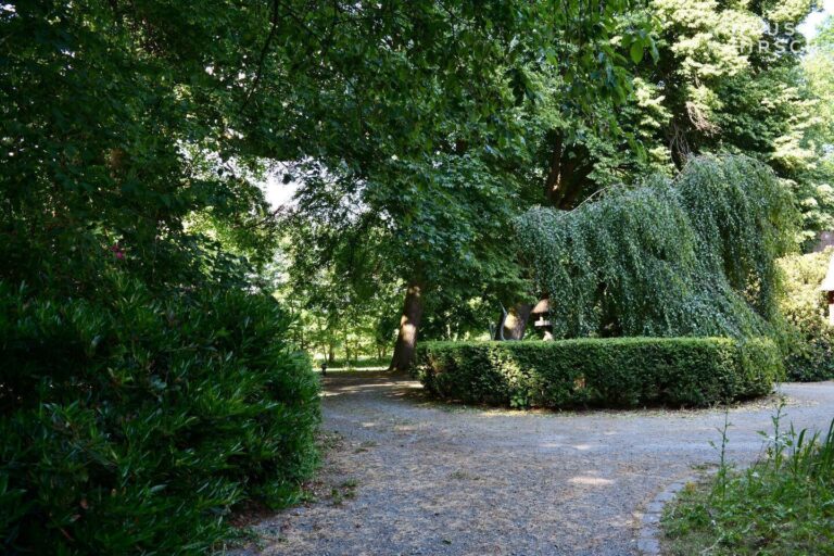 Rondell mit Auffahrt