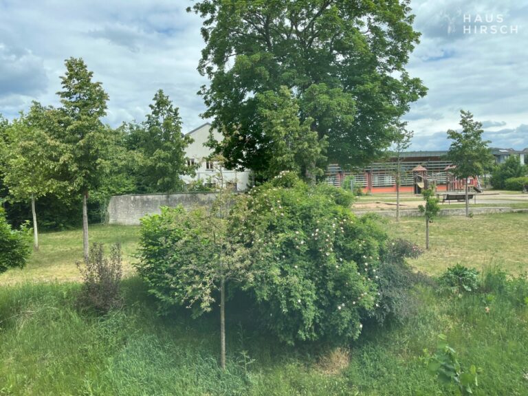 Ausblick aus Fenster