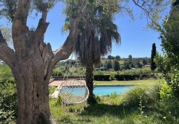 20250424_094902711_iOS