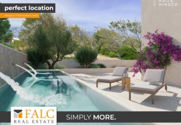 [COVER] falc-overlay-image-%5BTIME%5D.jpeg