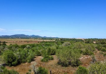 Blick nach Santanyi