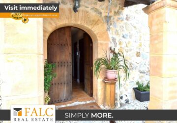 [COVER] falc-overlay-image-%5BTIME%5D.jpeg