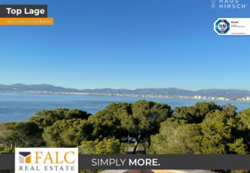 [COVER] e499146b-176f-46ca-b61c-f45539f9f0af_original.jpg