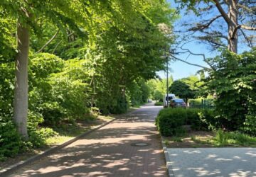 Direkt am Park (30er Zone)