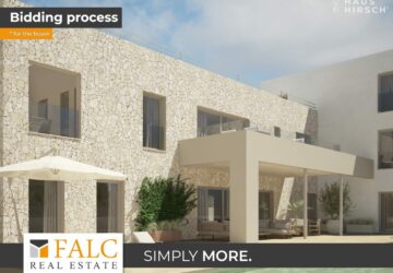 [COVER] falc-overlay-image-%5BTIME%5D.jpeg