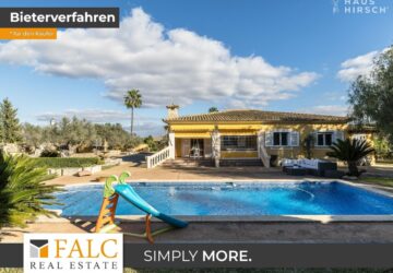 [COVER] falc-overlay-image-[TIME]