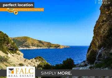 [COVER] falc-overlay-image-%5BTIME%5D.jpeg