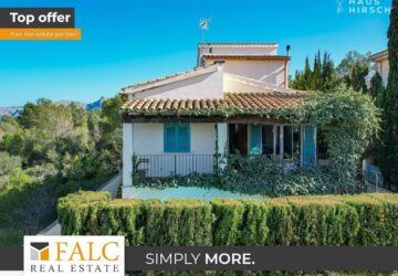 [COVER] falc-overlay-image-%5BTIME%5D.jpeg