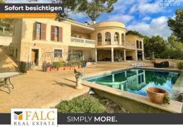 [COVER] falc-overlay-image-[TIME]