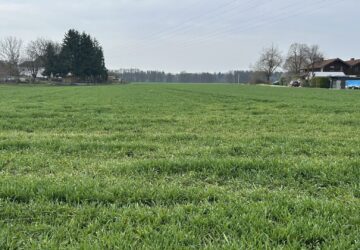 Blick auf das Grundstück