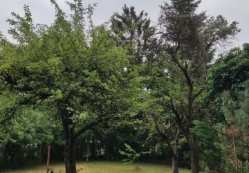 Grundstück i Haunstetten