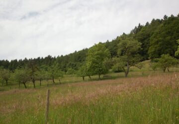 DSC 1776