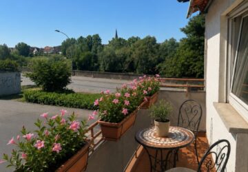 Balkon Dipladenia