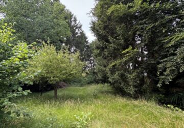 Mehr Natur geht nicht