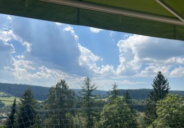 Ausblick