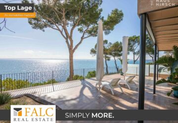 [COVER] falc-overlay-image-%5BTIME%5D.jpeg