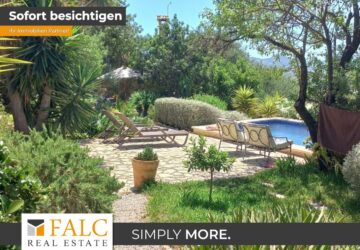 [COVER] falc-overlay-image-[TIME]