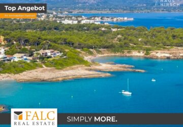 [COVER] falc-overlay-image-%5BTIME%5D.jpeg