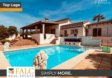 [COVER] falc-overlay-image-%5BTIME%5D.jpeg