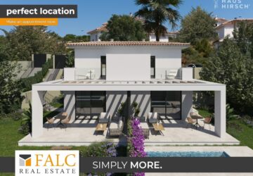 [COVER] falc-overlay-image-%5BTIME%5D.jpeg