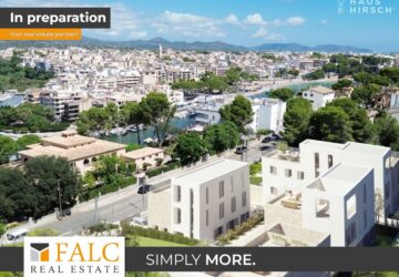 [COVER] falc-overlay-image-%5BTIME%5D.jpeg