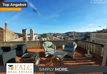 [COVER] falc-overlay-image-%5BTIME%5D.jpeg