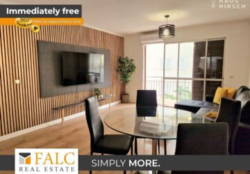 [COVER] falc-overlay-image-%5BTIME%5D.jpeg