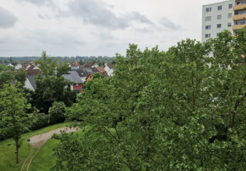Blick / Weitblick