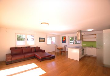 Wohn-Eßzimmer