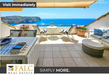 [COVER] FALC-overlay-image.jpeg