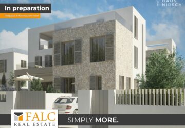 [COVER] falc-overlay-image-%5BTIME%5D.jpeg