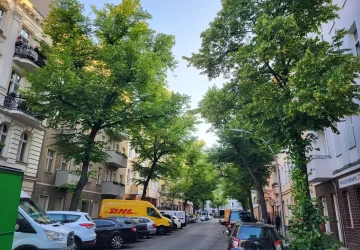 Zufahrtsstraße