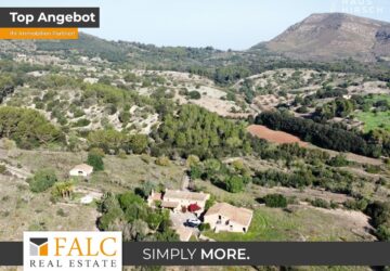 [COVER] falc-overlay-image-%5BTIME%5D.jpeg