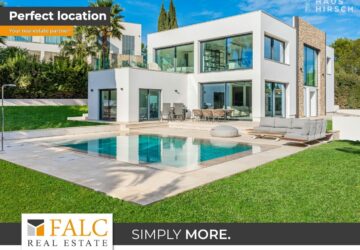 [COVER] FALC-overlay-image