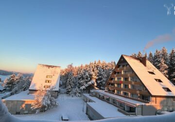 Zuhause im Schwarzwald