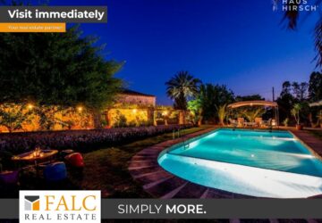 [COVER] falc-overlay-image-%5BTIME%5D.jpeg