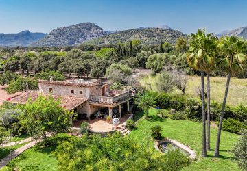 dji_fly_20240824_125742_0097_1724504131739_photo copia