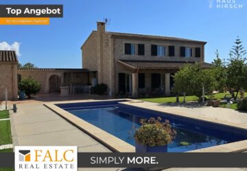 [COVER] falc-overlay-image-%5BTIME%5D.jpeg